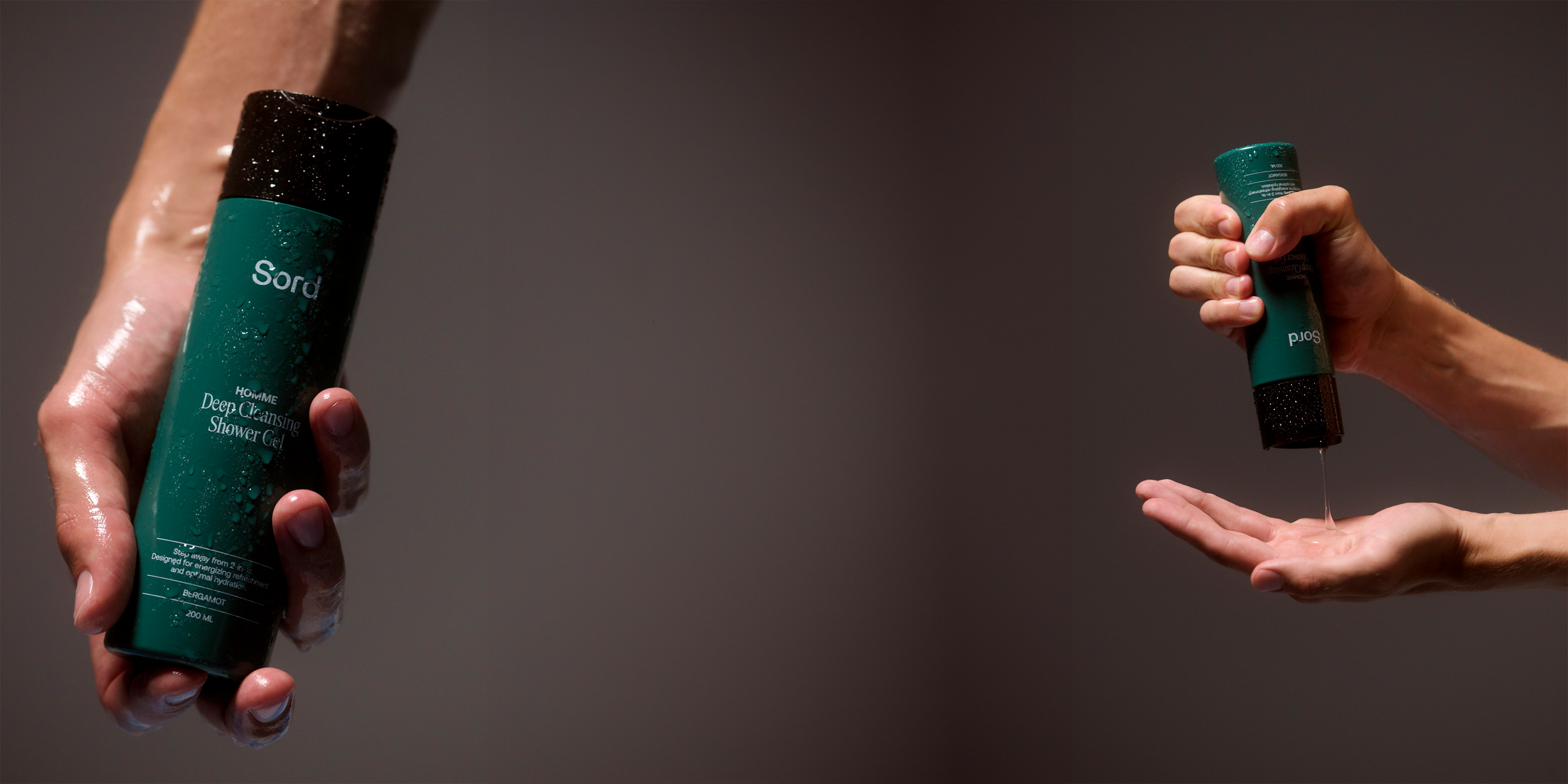 HP_header.png
